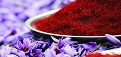 Kirmanşan ji bo rûbirûbûna hişkesaliyê berê xwe dide çandina 