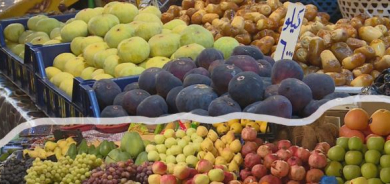 KRG Expands Agricultural Modernization as Exports and Investment Rise