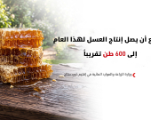 زراعة كوردستان: إنتاج العسل يرتفع بنسبة 20% وتوقعات بوصوله إلى 600 طن هذا العام