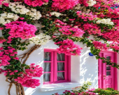 دیمەنە سەیرەكان،  ئیتاڵییەكان حەزیان بە ڕەنگە
