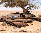 تانكێك دەبێتە باخێكی داروبار
