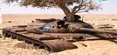تانكێك دەبێتە باخێكی داروبار