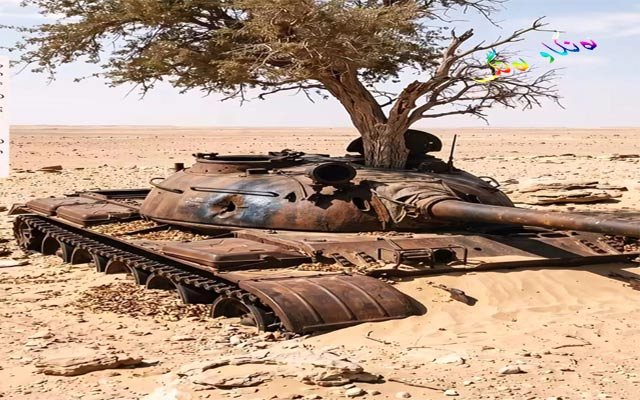 تانكێك دەبێتە باخێكی داروبار
