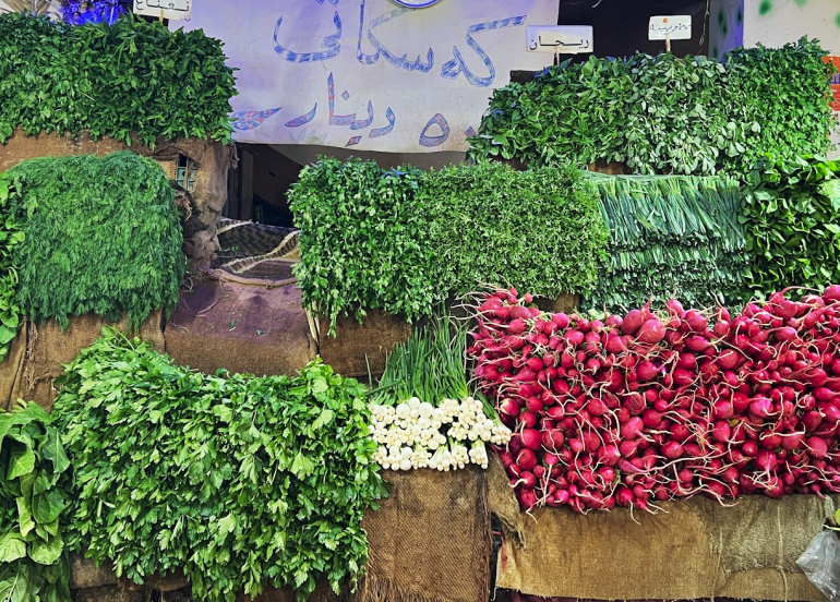 إقليم كوردستان يحقق الاكتفاء الذاتي من الخضروات ويُسوّق أكثر من مليون طن سنوياً لوسط وجنوب العراق