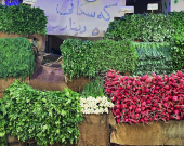 إقليم كوردستان يحقق الاكتفاء الذاتي من الخضروات ويُسوّق أكثر من مليون طن سنوياً لوسط وجنوب العراق