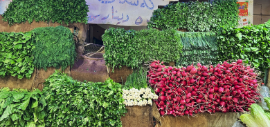 إقليم كوردستان يحقق الاكتفاء الذاتي من الخضروات ويُسوّق أكثر من مليون طن سنوياً لوسط وجنوب العراق