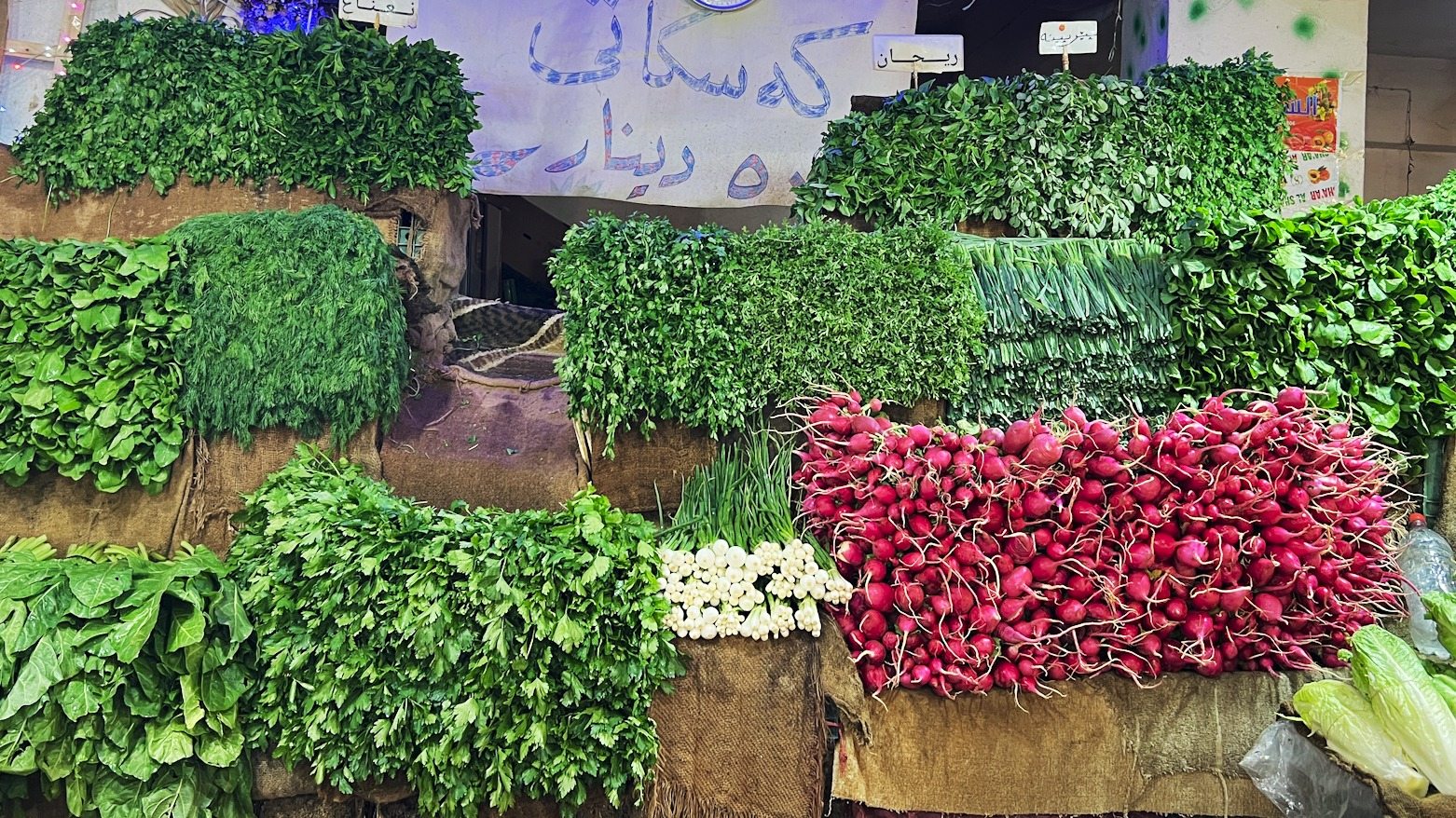 إقليم كوردستان يحقق الاكتفاء الذاتي من الخضروات ويُسوّق أكثر من مليون طن سنوياً لوسط وجنوب العراق