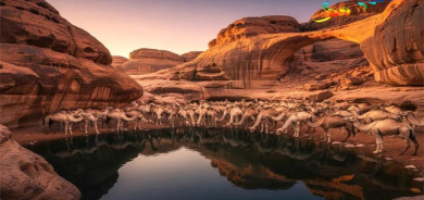 دەركەوتنی ئاو  لە بیابیاندا