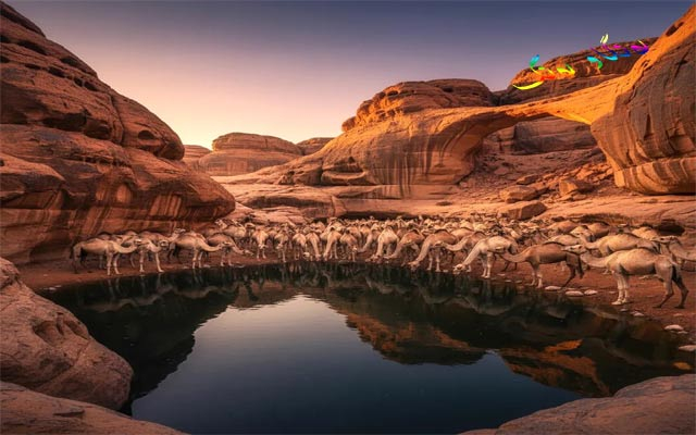 دەركەوتنی ئاو  لە بیابیاندا