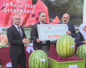 Fistefala Zebeşê Diyarbekirê hat lidarxistin