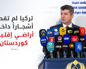 علي تتر يوضح للرأي العام: تجارة مشروعة وليست انتهاكاً.. حقيقة أخشاب منفذ 