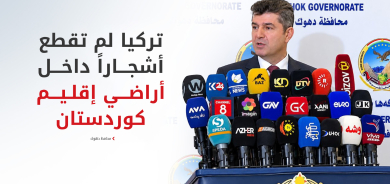 علي تتر يوضح للرأي العام: تجارة مشروعة وليست انتهاكاً.. حقيقة أخشاب منفذ 