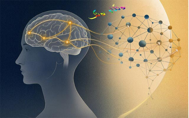 بۆ زانیاریت، مێشك ناوەندی بڕیاردان نییە