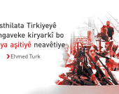 Ehmed Turk rexneyên tund li siyaseta Tirkiyeyê girtin
