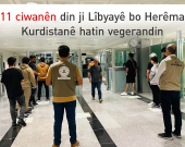 Hikûmeta Herêma Kurdistanê 11 ciwanên din ên devera Raparînê ji Libyayê vegerandin