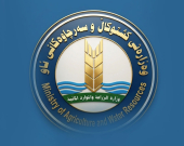 «زراعة كوردستان» لـ«بغداد»: فتح الحدود أمام الدواجن الأجنبية ضربة قاصمة للاكتفاء الذاتي