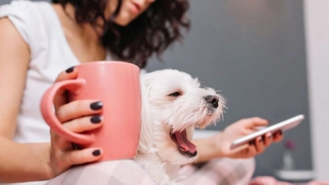 النظرية التي تفسر مرور الوقت ببطء منذ انتشار الوباء