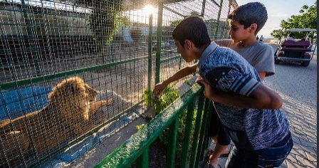 اربیل ... افتتاح أكبر حديقة حيوانات على مستوى العراق 