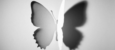 مثنوية النجاح