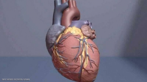 أمراض القلب القاتلة.. سبب رئيسي وحل بسيط جدا