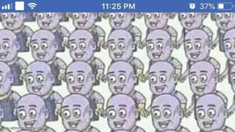 الصورة التي خدعت الملايين على فيسبوك