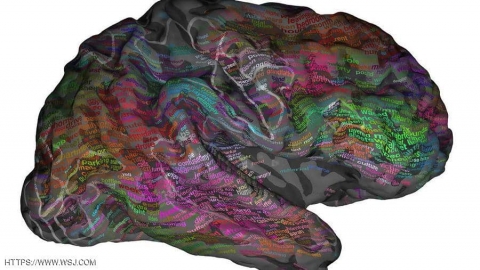 حلم بدأ يتحقق