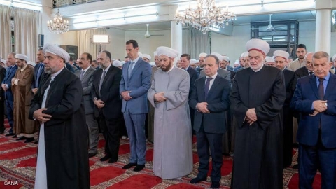 الأسد يظهر في 