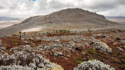 اكتشاف أقدم مستوطنة بشرية على ارتفاع شاهق