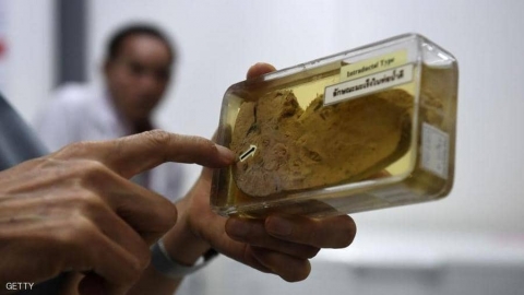 سرطان الكبد.. علامات واضحة تستدعي سؤال الطبيب 