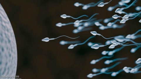 اضطرابات الخصوبة عند الرجال تمهد لـ