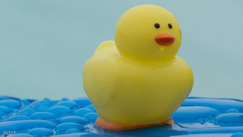 بطة الاستحمام الشهيرة.. 