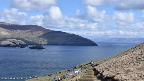 هل ترغب بوظيفة 