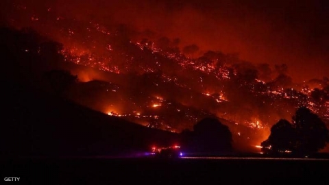 صدمة في أستراليا: 75% من السكان تأثروا بالحرائق