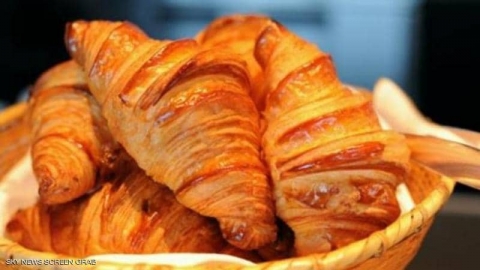 مهمة ليست سهلة في ألمانيا.. 