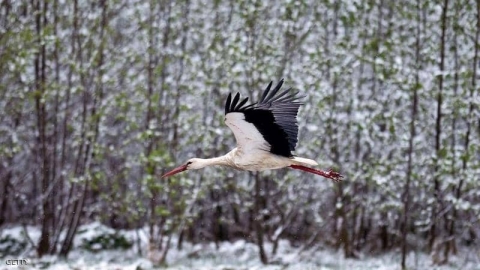 دراسة تحسم جدلا كبيرا.. الإنسان هو سبب أخطر أزمة تهدد العالم