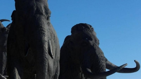 الفخ القاتل.. كيف خدع البشر 