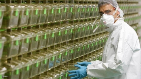 الصحة العالمية تحدد 