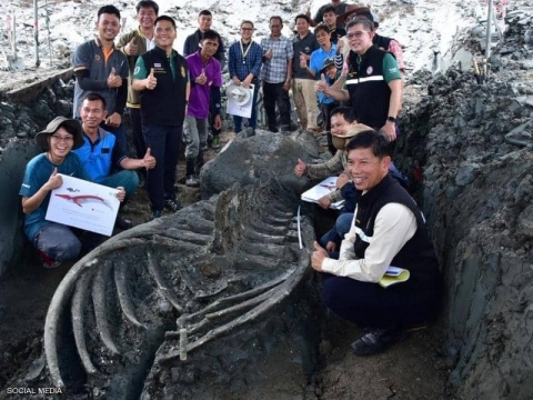 هيكل عظمي لحوت عملاق قد يكشف سرا مناخيا خطيرا