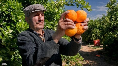 8 فيتامينات ومعادن 