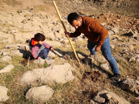 ناشط بيئي من قضاء رانية يزرع 365 شجرة بلوط مع بداية كل عام جديد