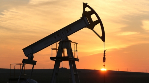 دانة غاز تكشف رؤيتها لمشاريعها في كوردستان في ظل مخاوف كورونا