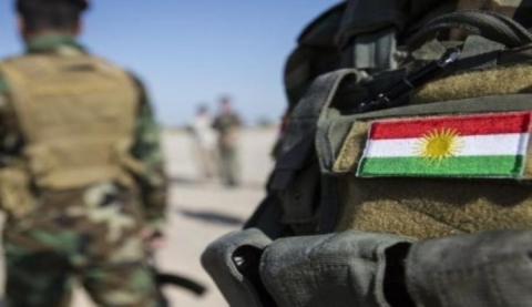 قيادي بالبيشمركة : توقف عمليات التحالف في العراق أثرت سلباً على الحرب ضد داعش