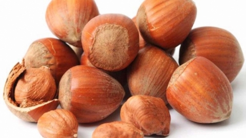 5 فوائد مذهلة لتناول 3 حبات من البندق يوميًا