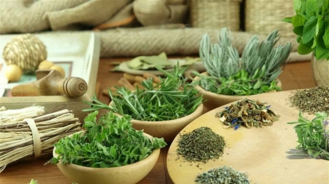 مجموعة من النباتات السحرية تغنيكم عن زيارة الطبيب