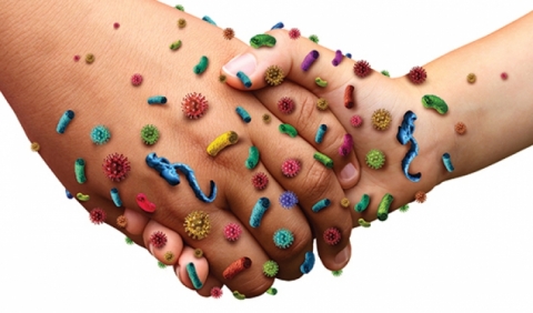 6 أشياء نلمسها يوميًا تحوي آلاف الجراثيم!