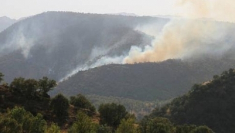 قتال PKK والجيش التركي قضى على 30% من غابات دهوك
