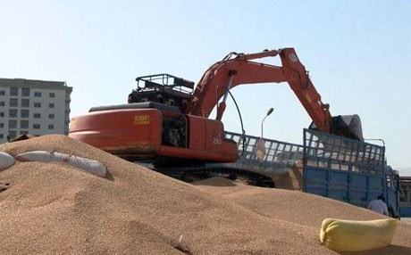 وفد من برلمان كوردستان يزور بغداد لمعالجة مشاكل الفلاحين