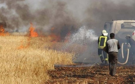  كتلة نيابية تدعو الحكومة للكشف عن خفايا حرق المحاصيل في كركوك