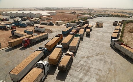 بغداد ستشتري 340 ألف طن حنطة من فلاحي كوردستان هذا العام