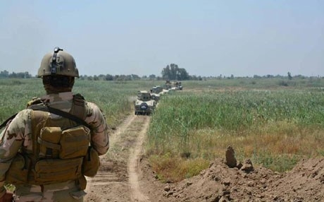 القوات العراقية تعتقل عنصراً من داعش وهو في طريقه إلى أربيل